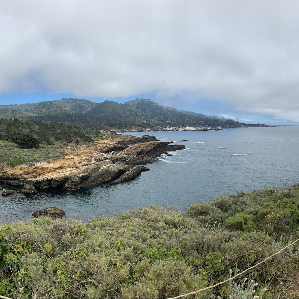 Meet your Posher, Karlie